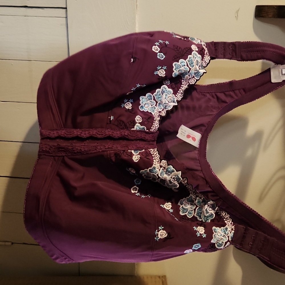 embroidered bra